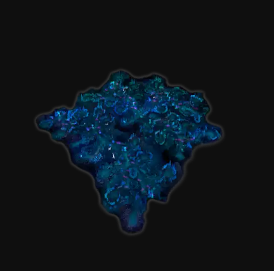 NOVO MAPA RAKLION ESQUECIDO